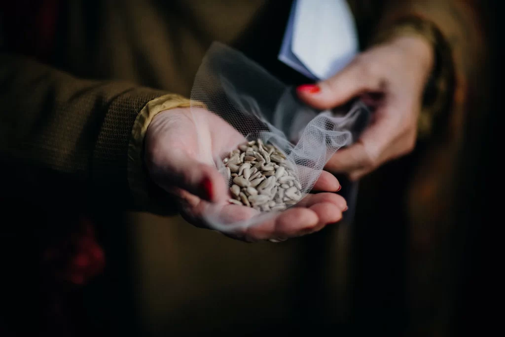 pestki słonecznika skuteczna przekąska